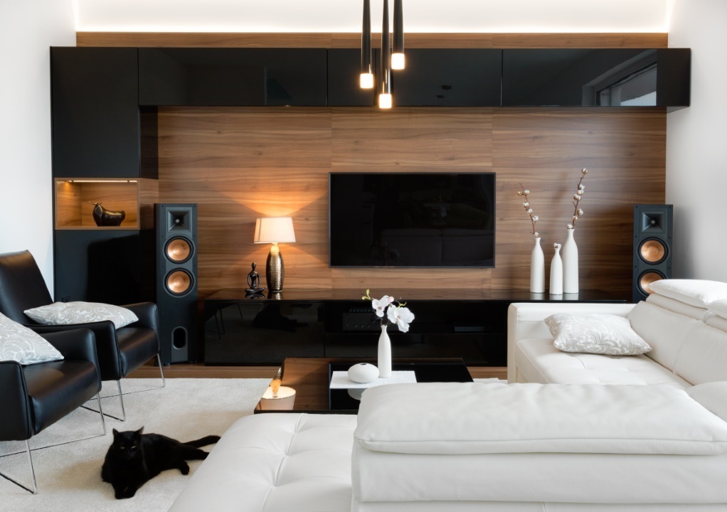 salon noir et blanc moderne bois